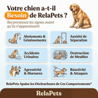 Recharge Diffuseur Pour Chiens