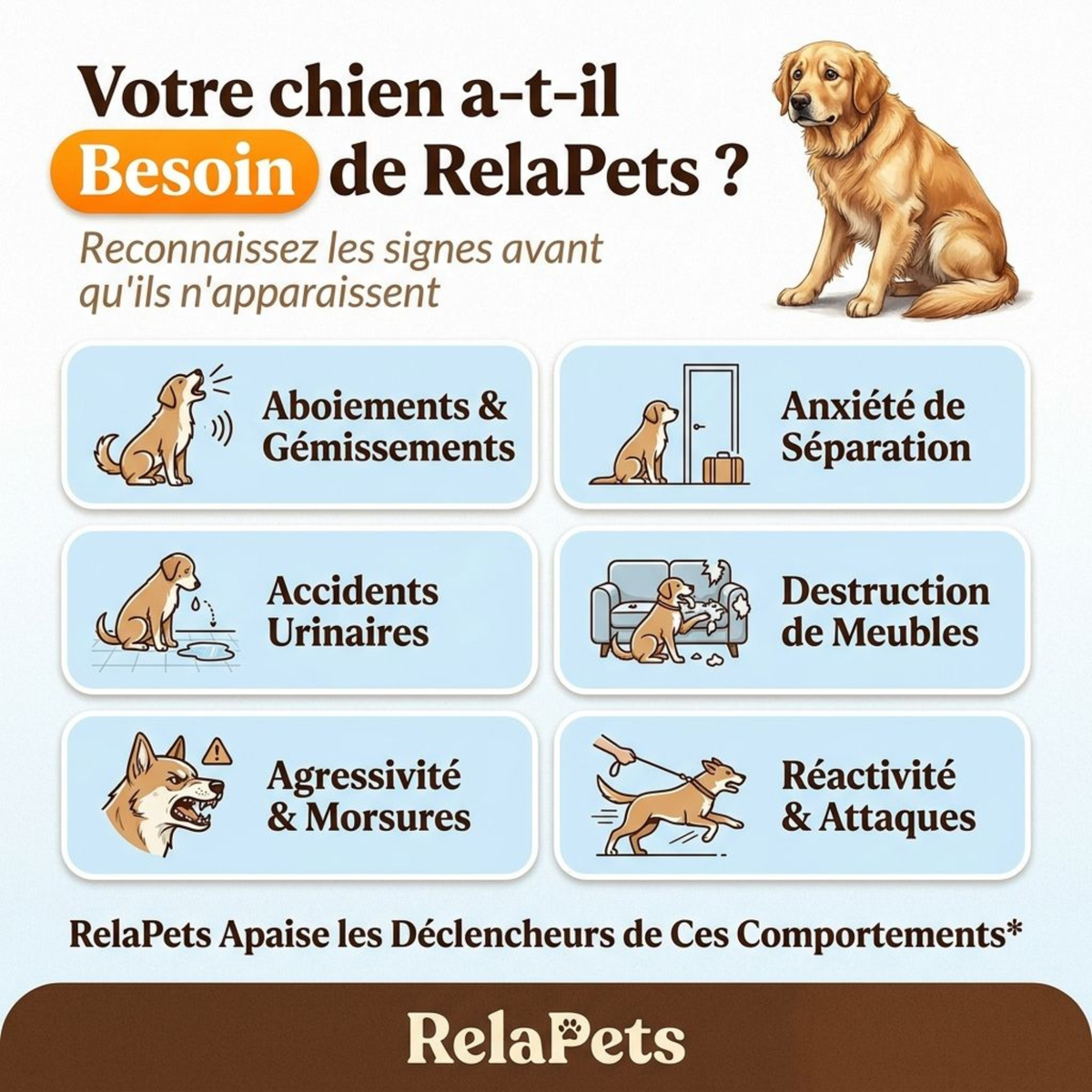 Recharge Diffuseur Pour Chiens