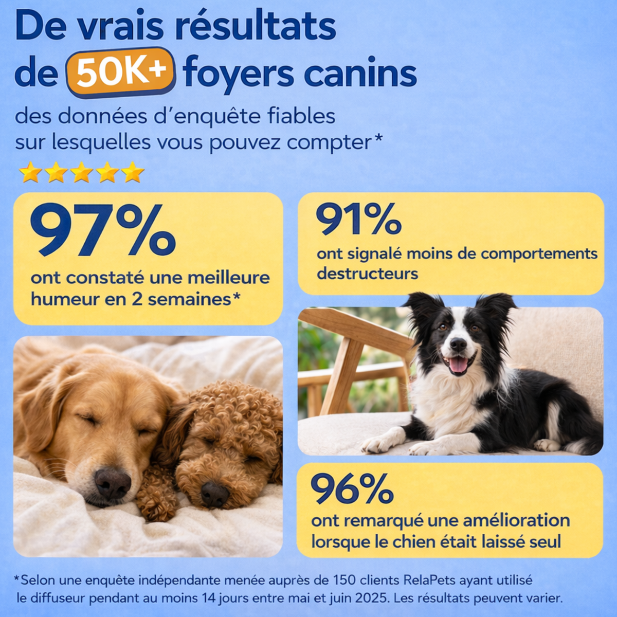 Recharge Diffuseur Pour Chiens
